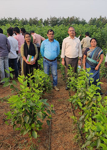 Diagnostic Visit to Mulberry SAIRD