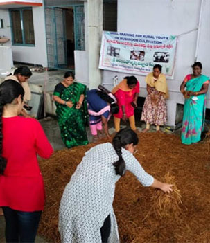 Mushroom Cultivation event