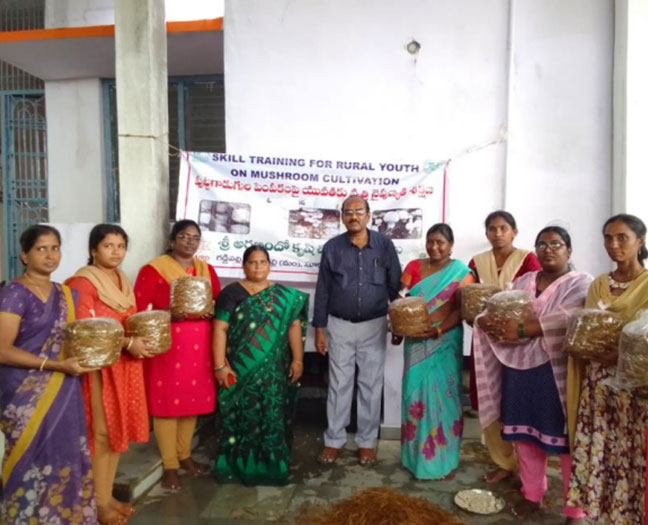 Mushroom Cultivation KVK Gaddipally